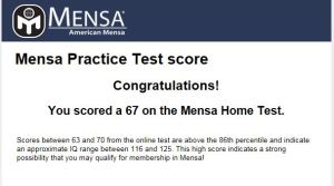 Screenshot of Mensa Test Results